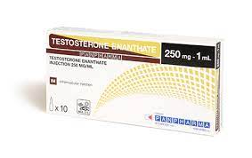 testosteron depot panpharma 250 mg 1 amp